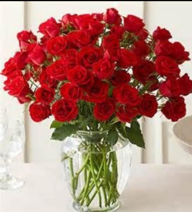 2 Dozen Rose & Red Carnation Extravaganza 2 Dozen Rose & Red Carnation Extravaganza - For those extra special events, milestones, or once in a lifetime occasions, sending two dozen roses with a supporting secondary flower is the ideal floral display. Our designers keep the significance of the occasion in mind when creating this exquisite design. So whether it’s your anniversary, for Valentine’s Day, graduation, or any other special event, these roses will be perfect. Choices in Rose color include: Red, Hot Pink, White & Lavender Remember to add chocolates, balloons, and/or a soft teddy bear as a finishing touch.