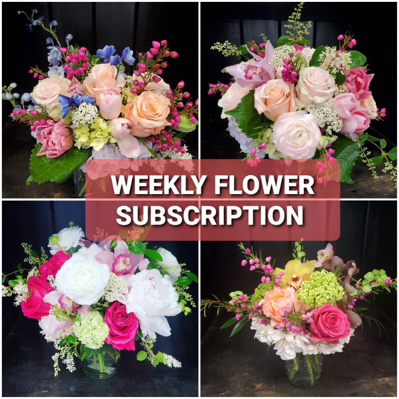 Camellia's Farm Fresh Flora Subscription Camellia's Farm Fresh Flora Subscription - Make someones day... Better yet, make their week, month or year! Choose from several subscription options. Pay up front (with no subsequent delivery fees) or as you go. Add on chocolates or chocolate covered strawberries for the ultimate gift that continues to give! Six Week subscription. $86.50 each week, $115 each week, or $172.50 each week.