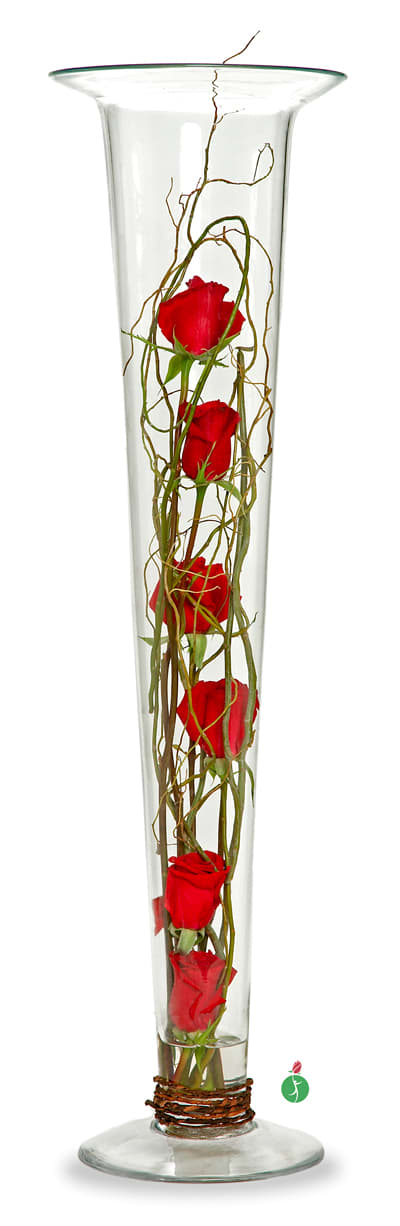 Roses in Glass - For a modern interpretation of a fresh rose arrangement, consider this sophisticated display of six red roses, symmetrically arranged with vines in a tall glass cylinder vase. It’s a unique and eye-catching display that’s sure to capture everyone’s attention.