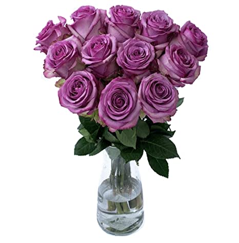 Love At First Sight - Purple Roses Says, Love At First Sight 1 Dozen Purple Roses Perfectly Arranged In A Vase