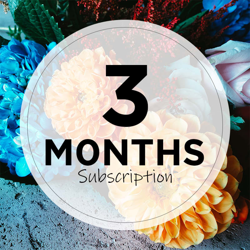 Monthly Flower Delivery - 3 Months - All subscriptions include a delivery fee and are paid ahead of time based on the length of subscription purchased. Upgrade to Deluxe or Premium for more stems. Perfect for treating yourself, gifting, and housewarming! Flowers will be delivered on the 15th of the month with the exception of Valentine’s Day. We will contact you with an alternate delivery date. You have the option to leave the previously used vase on your porch or outside your door, so we can swap it out for your new arrangement. If not, you’re more than welcome to keep it. 