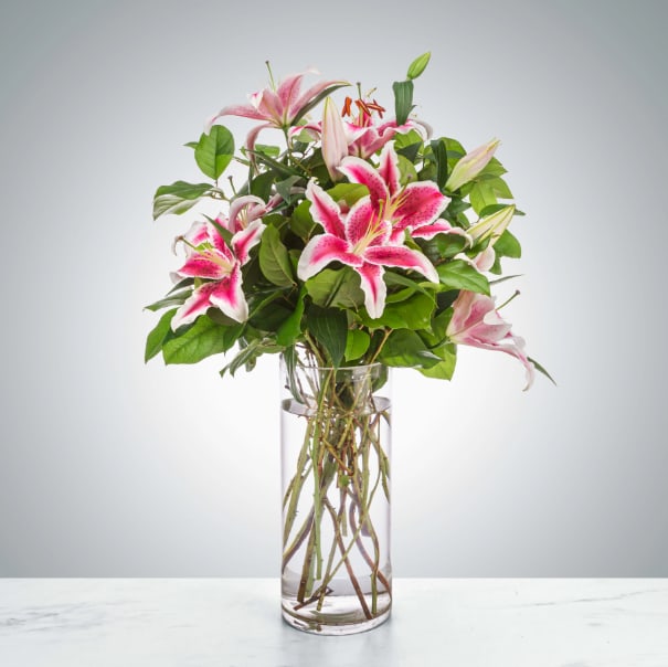 Splendent Stargazers by BloomNation™ Splendent Stargazers by BloomNation™ - Pink lilies stand for love, admiration, compassion, and femininity. Send this sweet-smelling lily arrangement for Mother's Day, Women's Day, or an Anniversary. 1st Image: Standard 2nd Image: Premium
