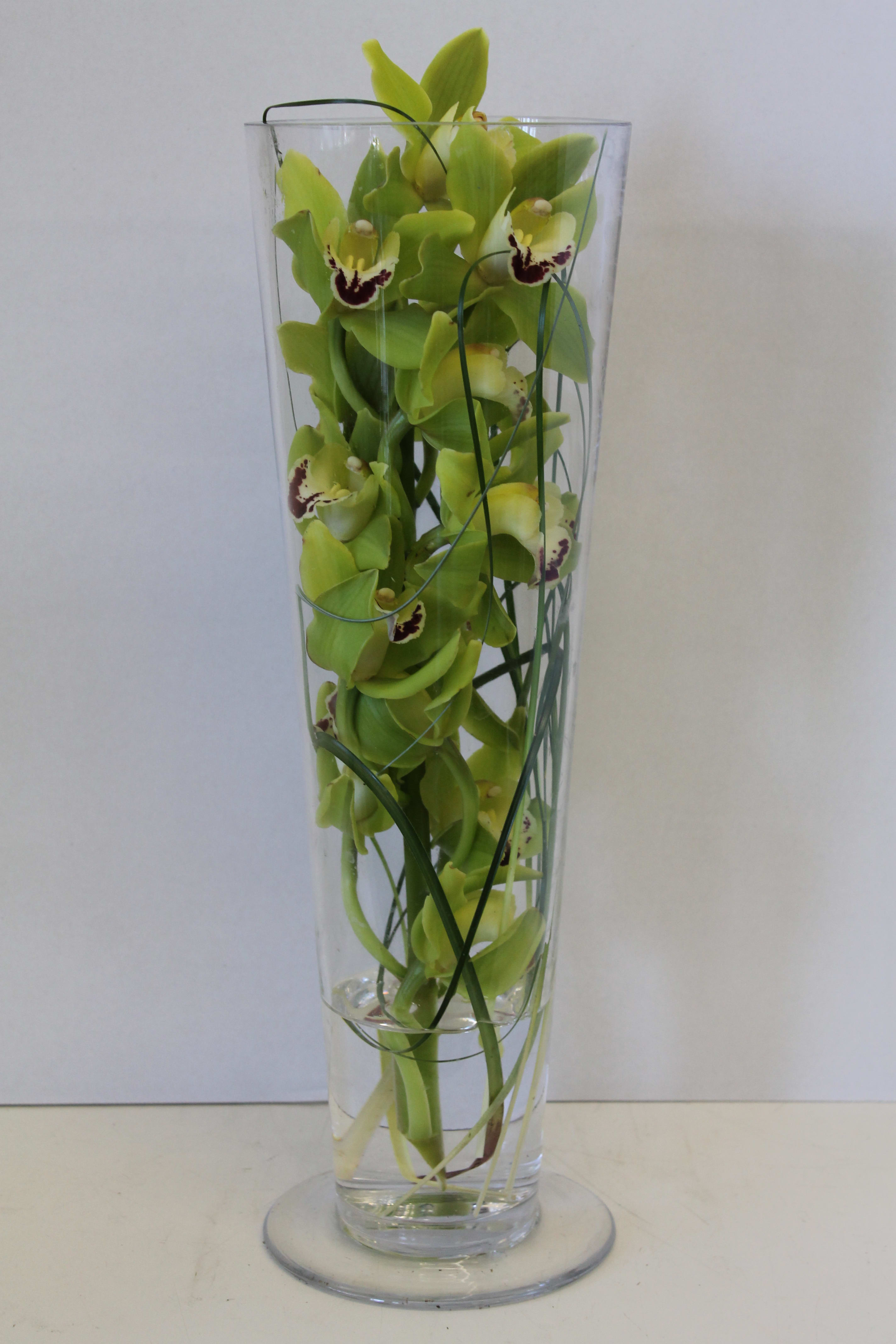 Modern Orchids - For a true work of art, choose this gift that is pure elegance in its simplicity. One fabulous stem of Cymbidium orchids is presented in a tall, clear glass vase.