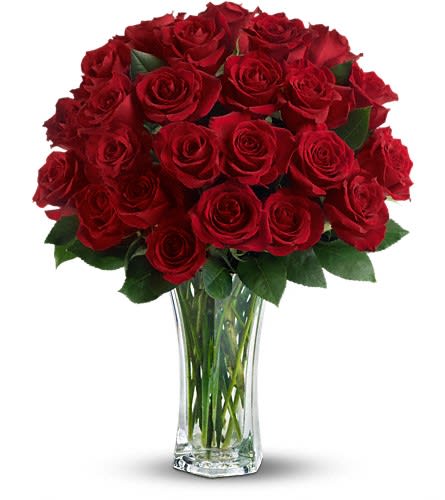 Love and Devotion - 2dzLong Stemmed Red Roses - by Flower Sensation - Make love blossom all over again. Surprise her with not one but two dozen gorgeous red roses in a sparkling clear glass vase. Life will be twice as rosy for you both - all week long. The spectacular bouquet features red roses accented with salal.Approximately 15&quot; W x 22&quot; H Orientation: All-Around As Shown : TRS01-1