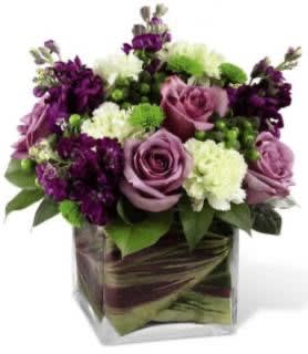Purple flowers on the box Purple flowers on the box - Purple flowers