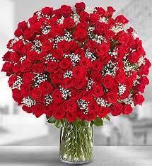 100 roses 100 roses - 100 premium long stem roses surrounded by baby breath . Breathtaking!