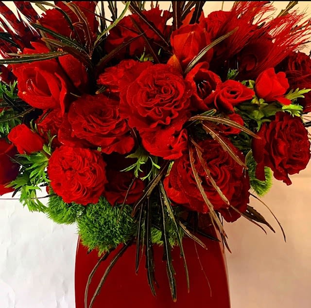American Beauty - .