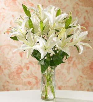 White stargazer hot sale lily