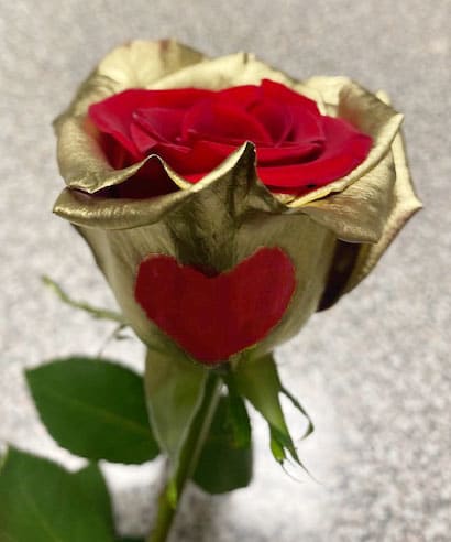 Gold / Red Rose With A red Heart  - One of a kind fresh red 70cm rose with a gold outer edge and a red heart on the petal last 7 to 10 days 