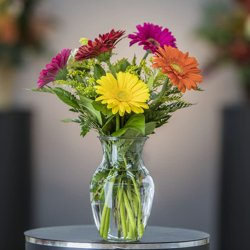Oopsy Daisy  - These splendid red, orange, yellow and pink daisies will brighten any room. 
