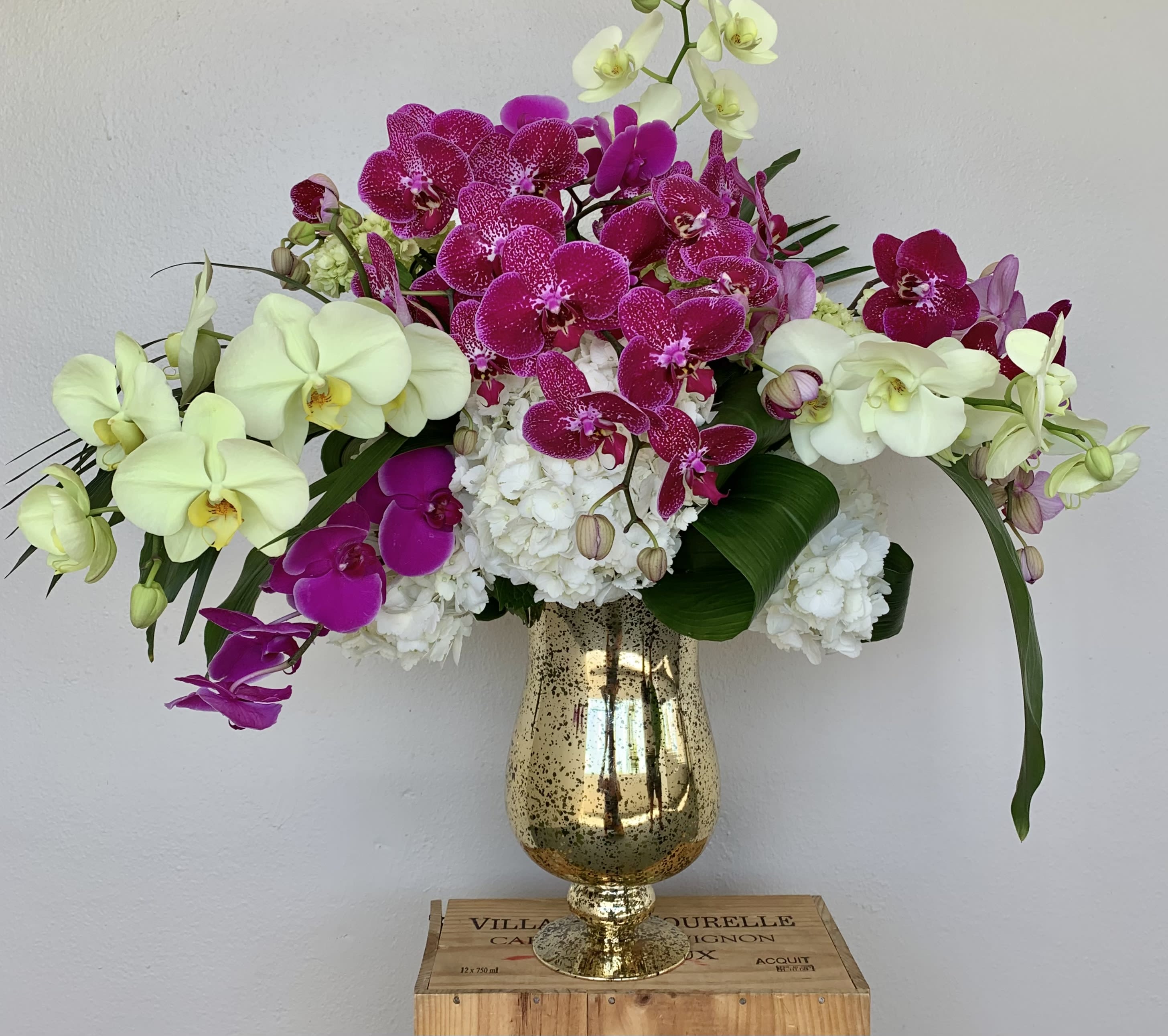 Orchids Gift  - Orchid blooms, Hydrangeas, green in a special vase 