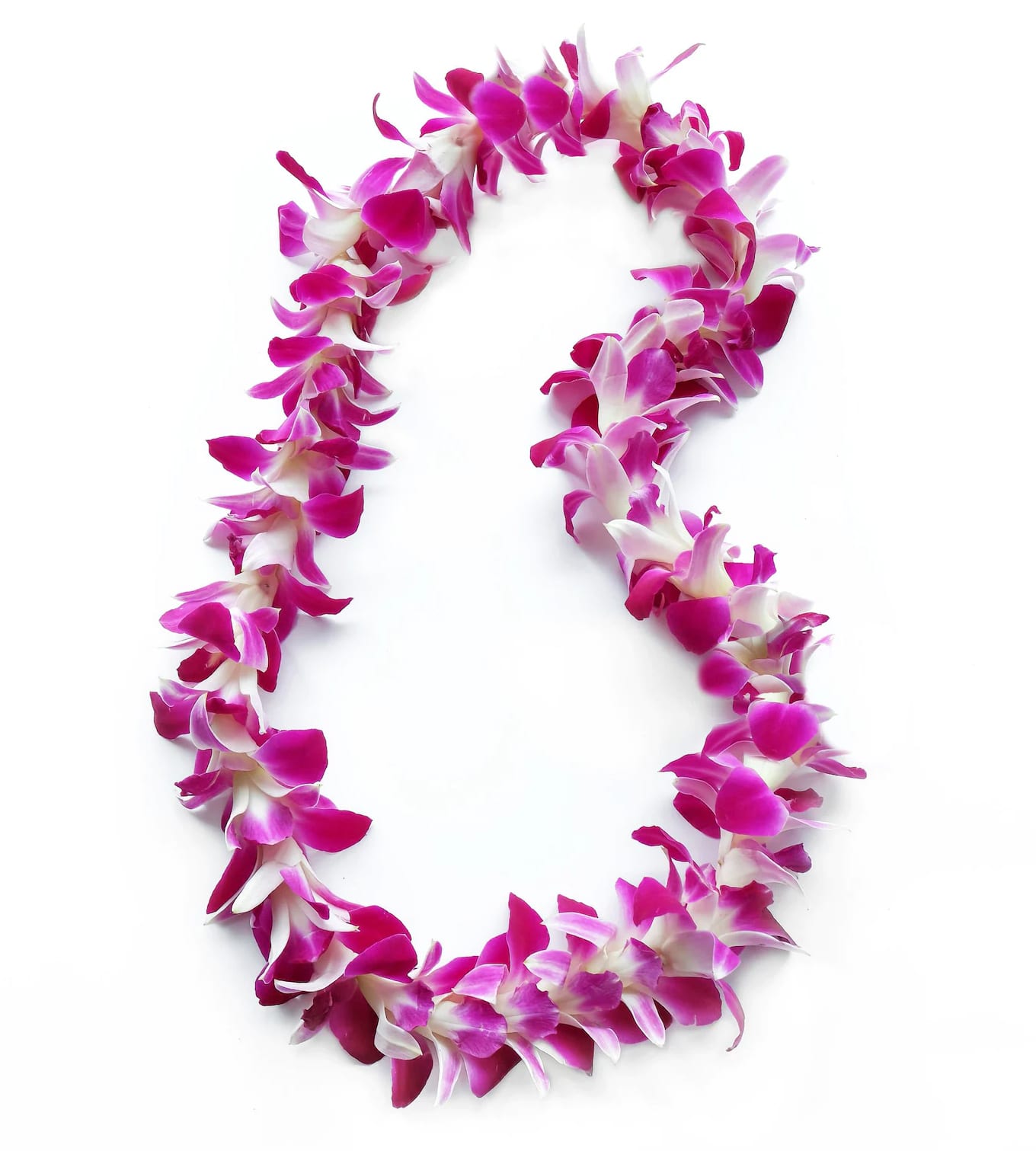 Graduation Flower Leis Costco Best Flower Site