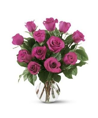 1 Dozen Hot Pink Roses - A dozen hot pink roses are always perfect, always savored.