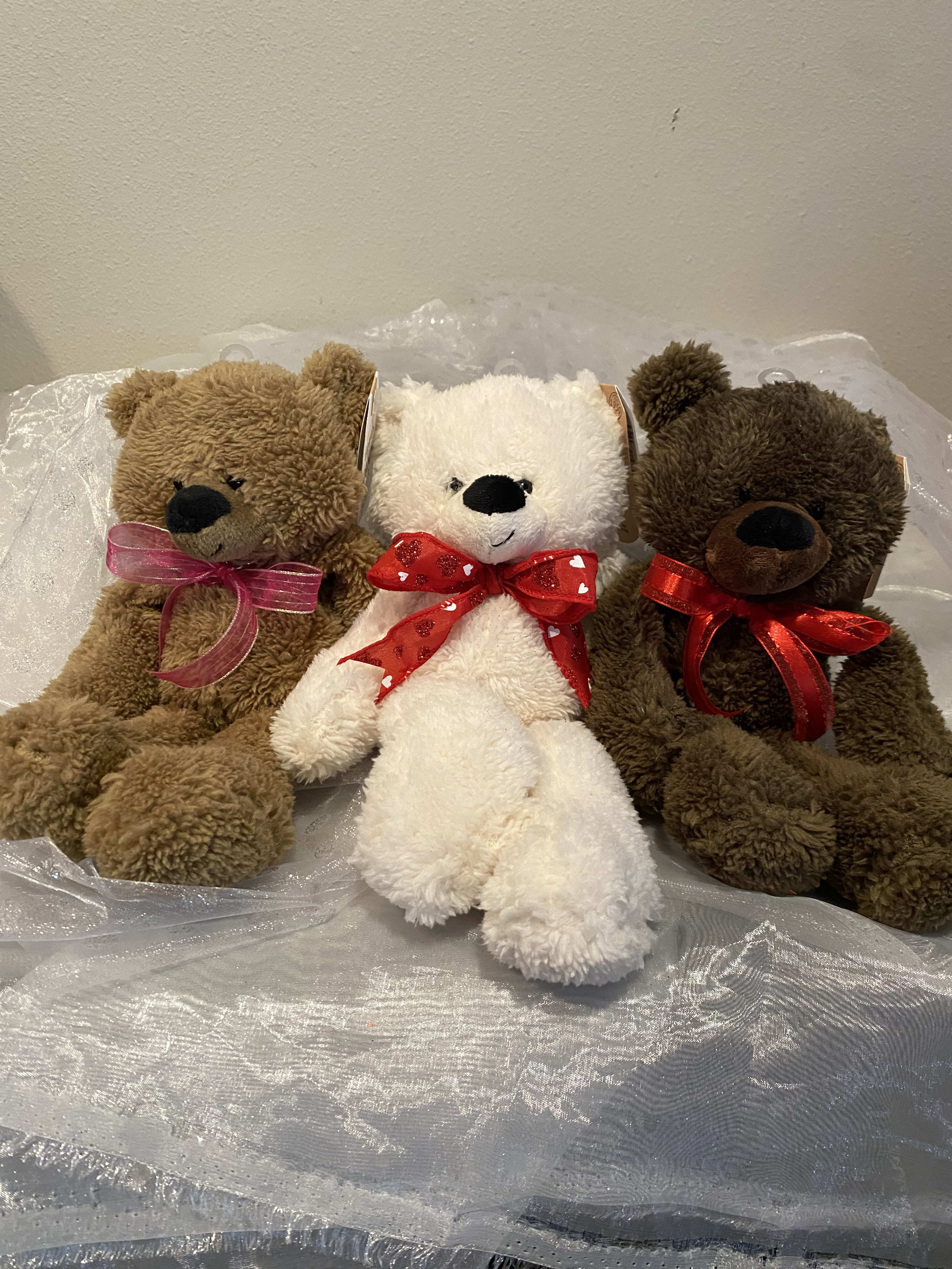 Find a store teddy bear