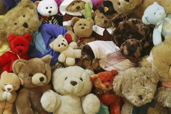 Teddy bear one day delivery store