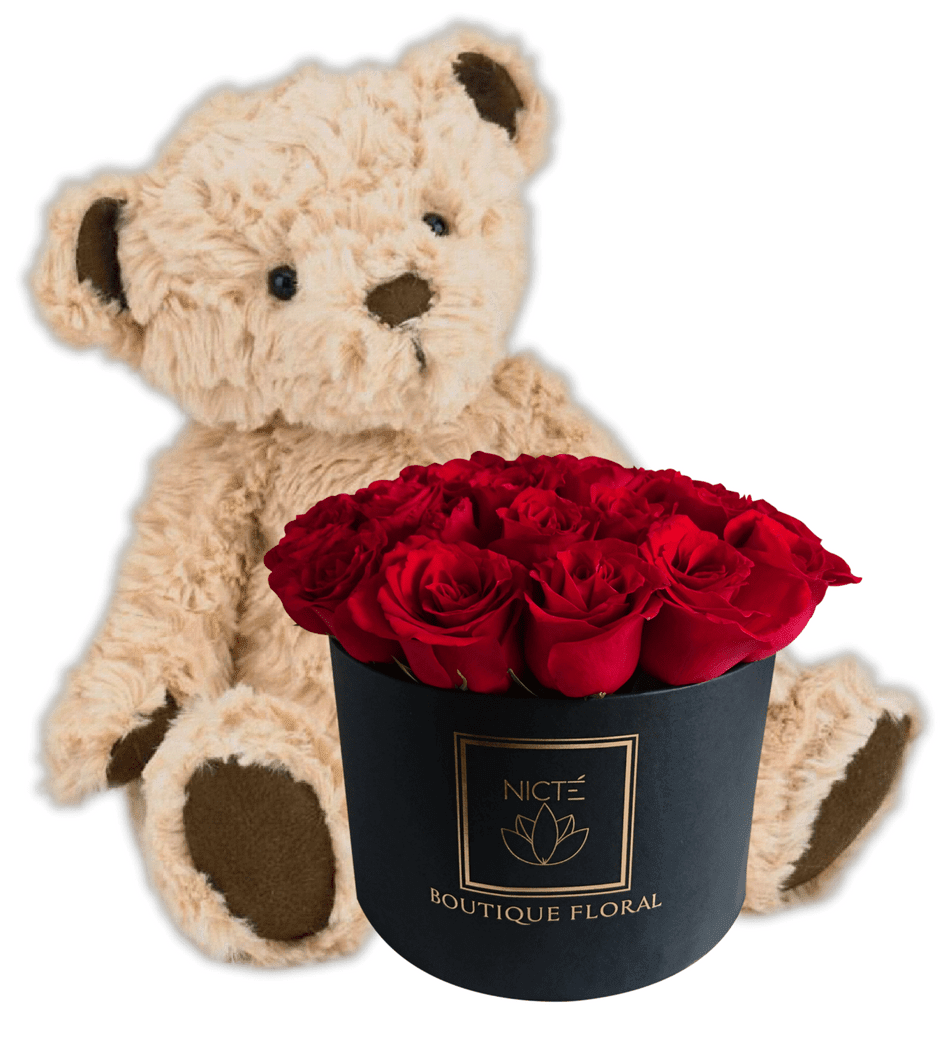 Carmen red teddy rose cheap