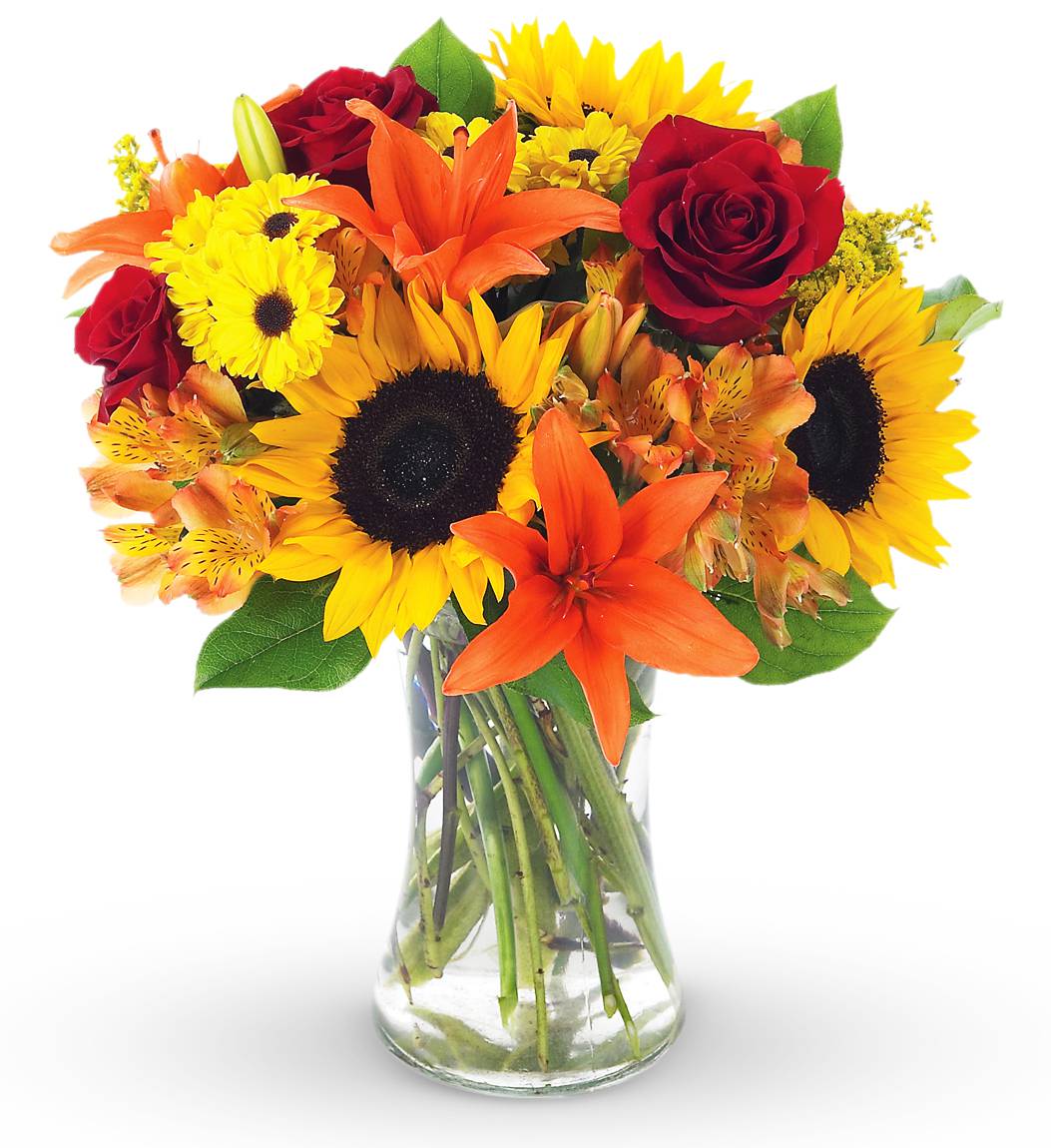sunshine celebration bouquet sunshine celebration bouquet - orange yellow flowers