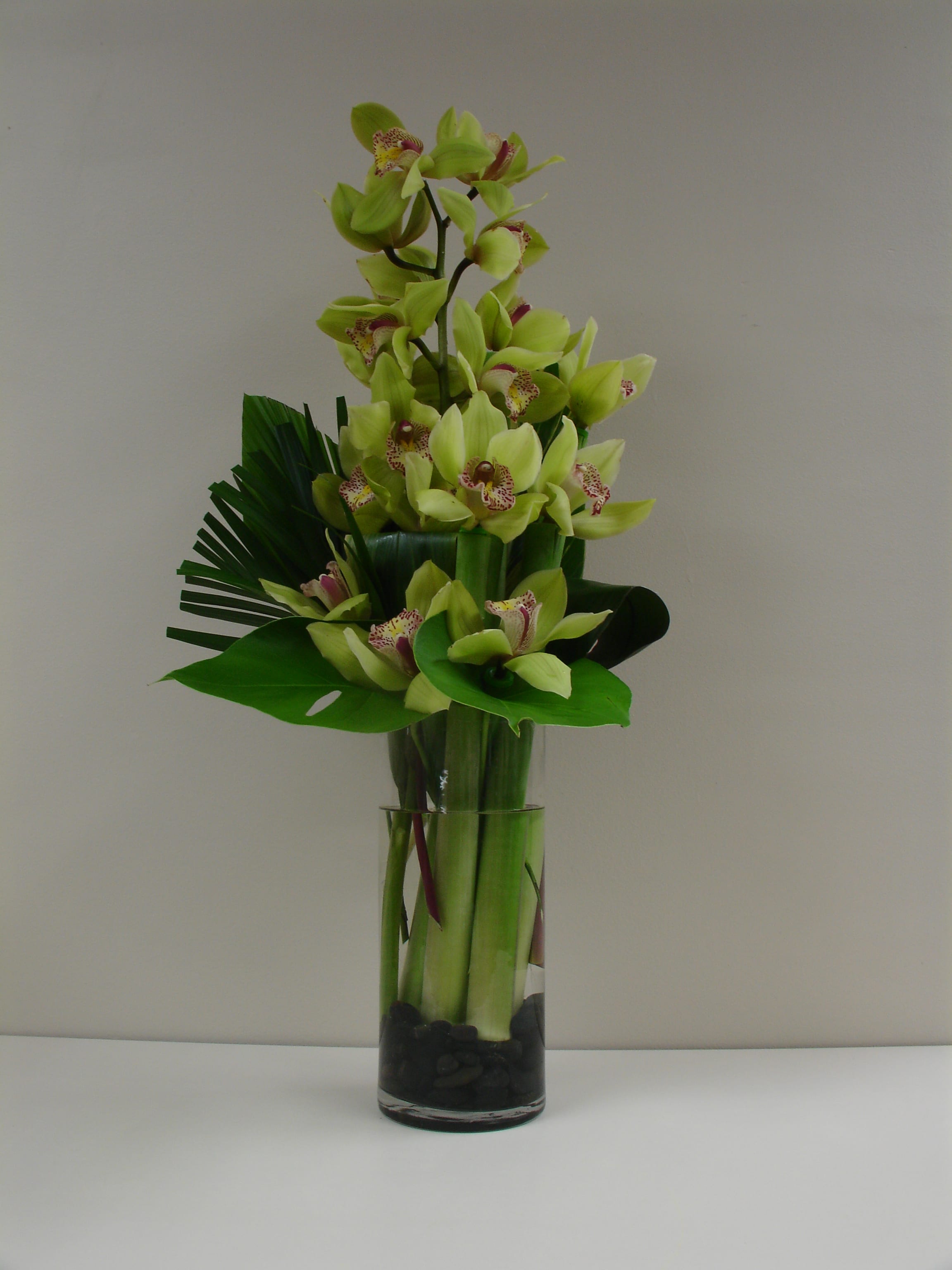 Tropical Trellis - A grand tropical arrangement featuring the climbing stems of lime green Cymbidium orchids nestled in a bed of forest leaves, anchored by sleek black river stones in a clear glass cylinder.