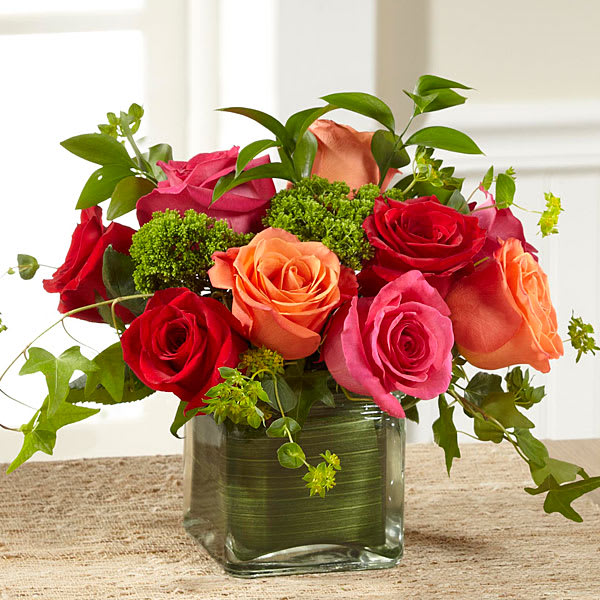 The Lush Life Rose Bouquet - Rich in color and unmatched beauty this blushing rose bouquet flaunts a modern styling to send your warmest heartfelt wishes to your recipient in a way they will never forget. Hot pink orange and red roses capture the eye and the imagination accented with green trachelium bupleurum and ivy vines for a fresh look. Presented in a clear glass cubed vase lined with ti green leaf material to add to the overall display this fresh flower arrangement is ready to celebrate a birthday or anniversary or send your thank you or get well wishes in style. 