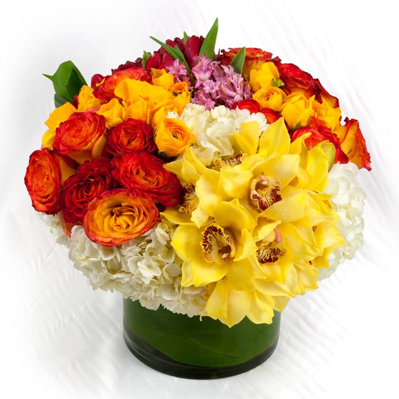 Goldenrod - A sunny and bright arrangement of orange circus roses, white hydrangea clusters, yellow cymbidium orchids, and golden tulips decorated by aspidistra leaves and hyacinth blooms. 