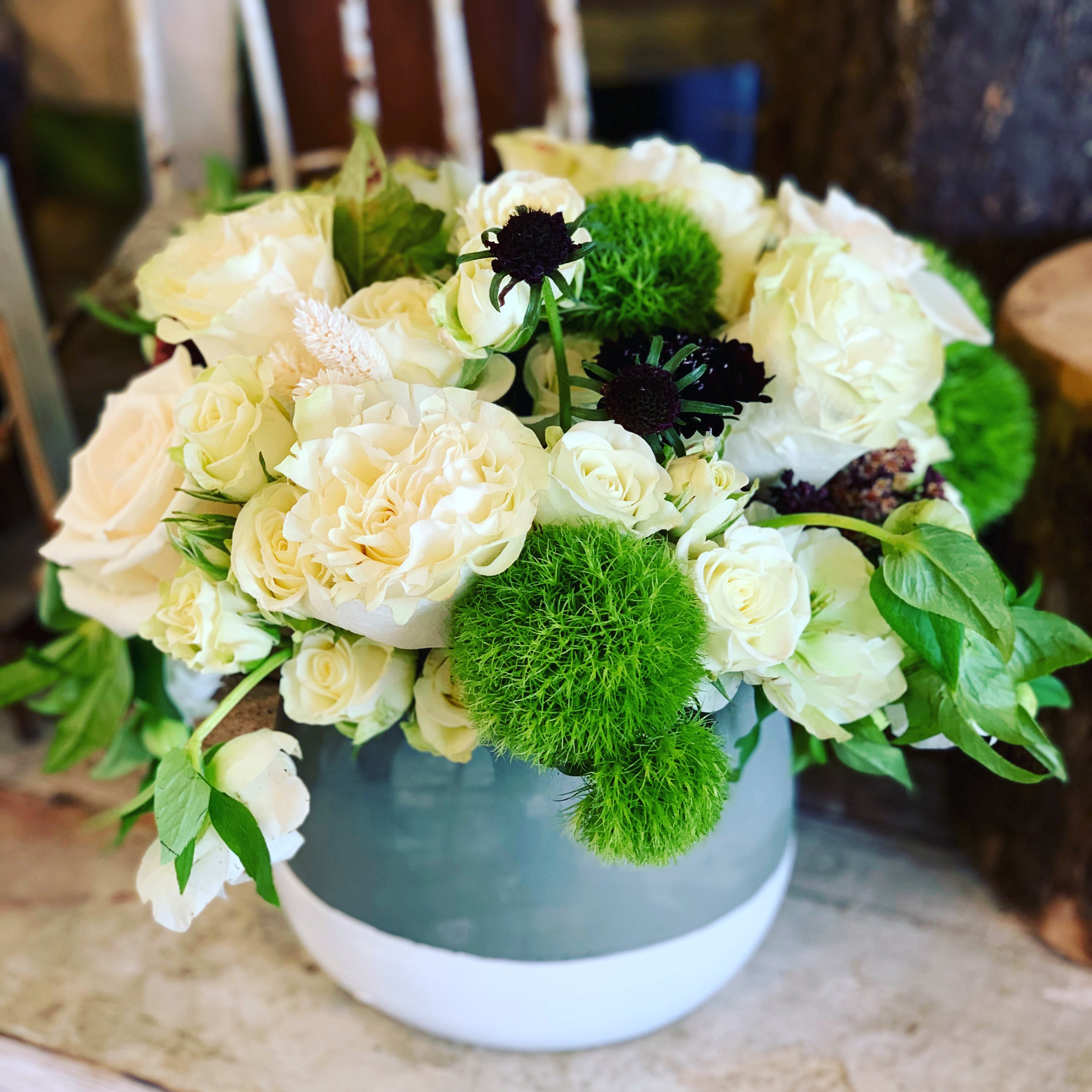 Caddy Shack - Crisp and clean. An elegant display of green and white blooms.  Classic and timeless and sure to fit any home and style...blooms may be swapped out for flowers of equal or higher value  depending on availability but will look very similar.  If container is sold out we will use a comparable container 