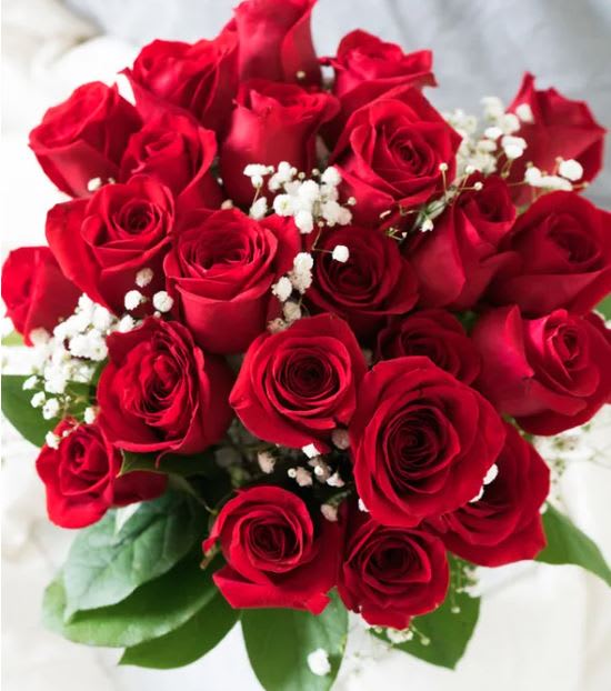 Two dozen red rose bouquet - Two dozen red rose bouquet in a clear rose vase with baby breath and greens. 