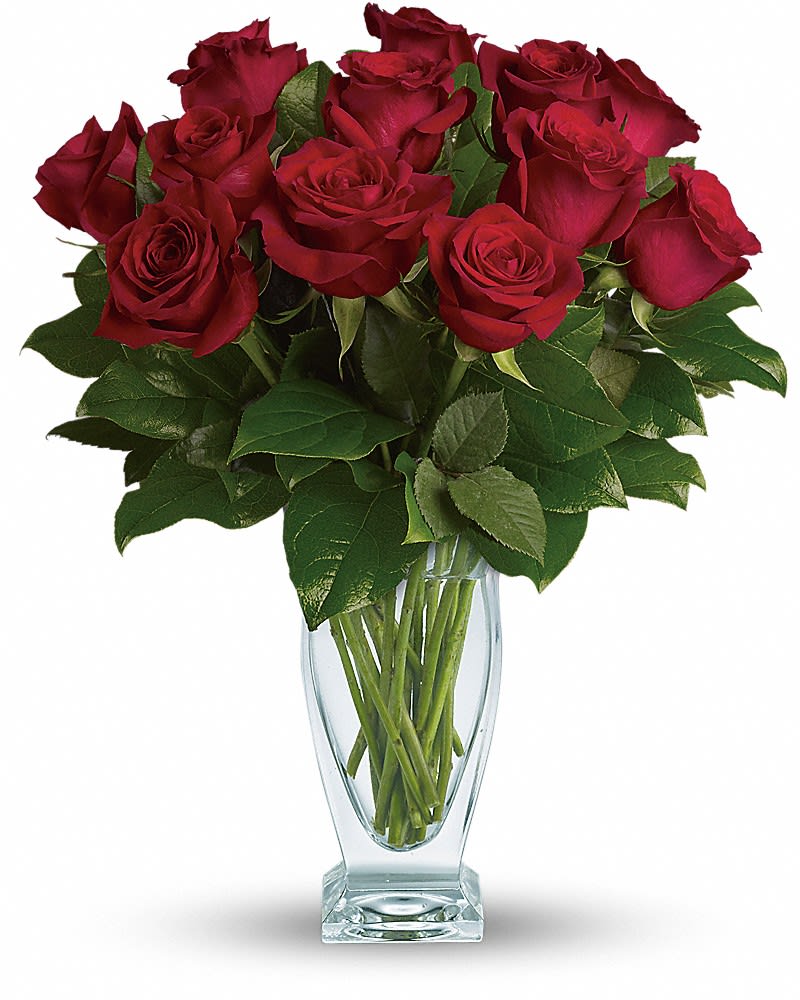 Teleflora's Rose Classique - Dozen Red Roses - Red roses have symbolized love and romance for centuries. One need only gaze at a classic red rose arrangement like this one to see why. Red roses are stunning dramatic and they say so much - without saying a word. A dozen red roses with garden greens are hand-delivered in a fashionable Couture Vase. Classic and romantic.