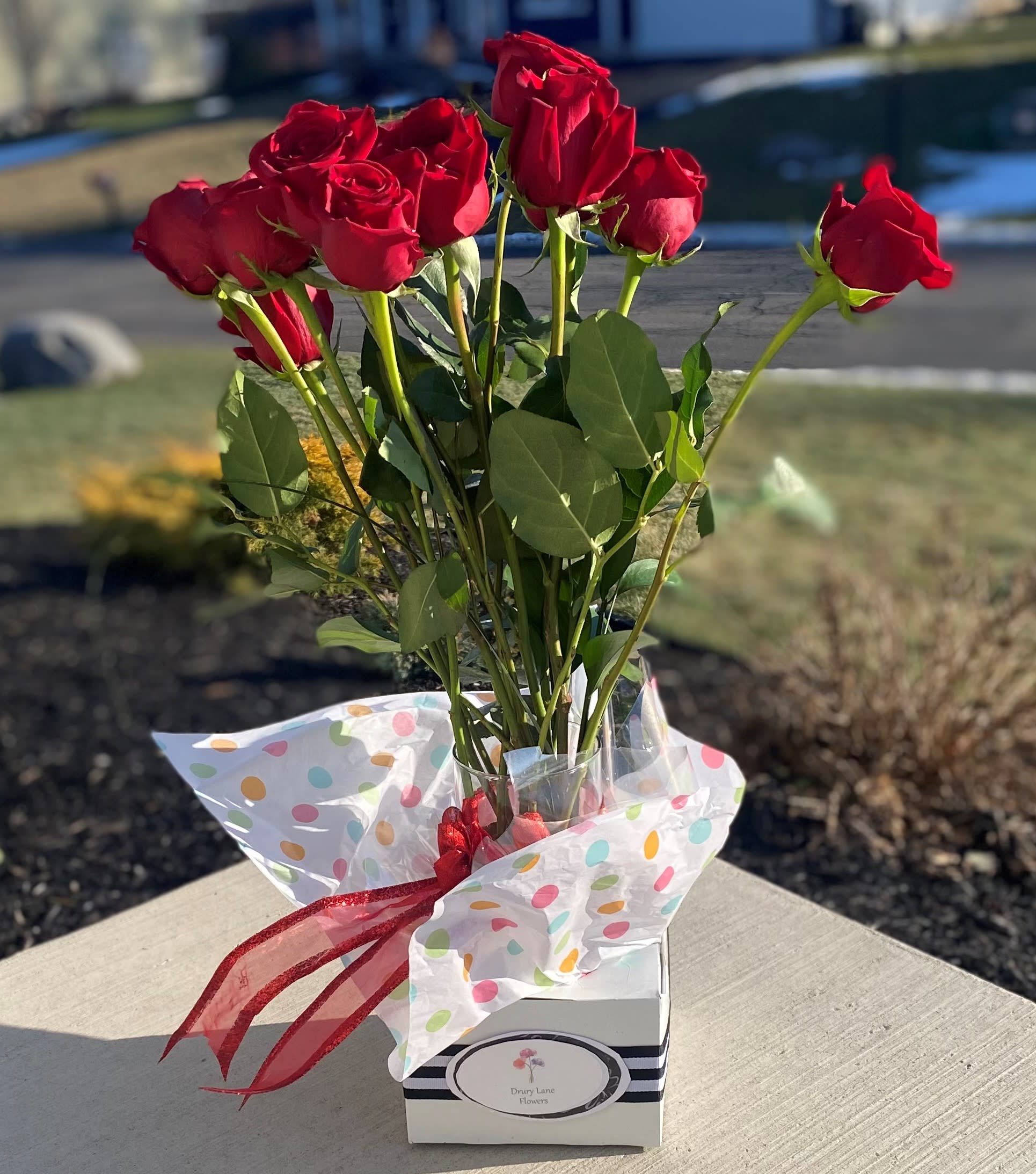 Flowers Near Syracuse Ny Best Flower Site