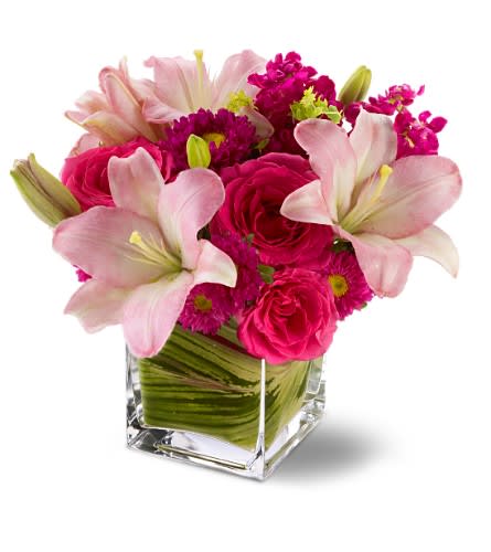 Teleflora's Posh Pinks - by Collene's Crafts-N-Flowers Teleflora's Posh Pinks - by Collene's Crafts-N-Flowers - Show impeccable taste when you send this stylish bouquet of hot pink roses pale pink lilies and mixed blossoms arranged in a modern glass cube vase. Pretty posh and perfectly high-class! Hot pink roses and Matsumoto asters pink LA hybrid lilies and burgundy stock arrive in a clear glass Teleflora cube vase lined with variegated ti leaves. Approximately 11.5 " (W) x 11" (H) Orientation: All-Around As Shown : TFWEB147