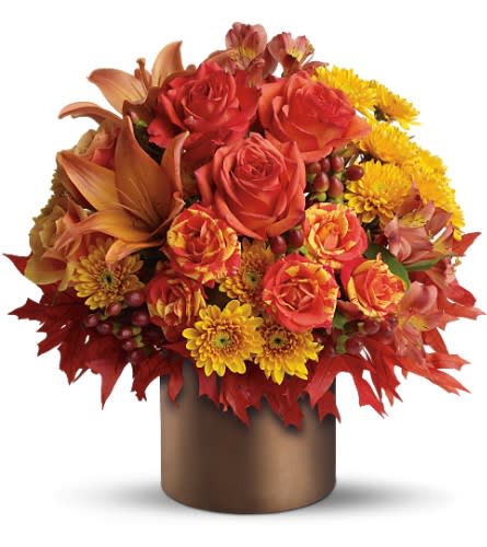 Teleflora's Color-fall - by Collene's Crafts-N-Flowers Teleflora's Color-fall - by Collene's Crafts-N-Flowers - Autumn is a many-splendored thing and this glorious bouquet is proof. The season's most amazing flowers in a chic satin cylinder vase - what a spectacular splash of color and style! Bask in it. The spectacular autumn arrangement includes light orange Asiatic lilies light orange roses dark oranges roses bi-color orange roses yellow cushion spray chrysanthemums brown hypericum and coral alstroemeria accented with preserved red oak leaves. Delivered in brown satin ceramic cylinder vase. Bouquet is approximately 14" W X 14 1/2" H Orientation: All-Around As Shown : 08N690B
