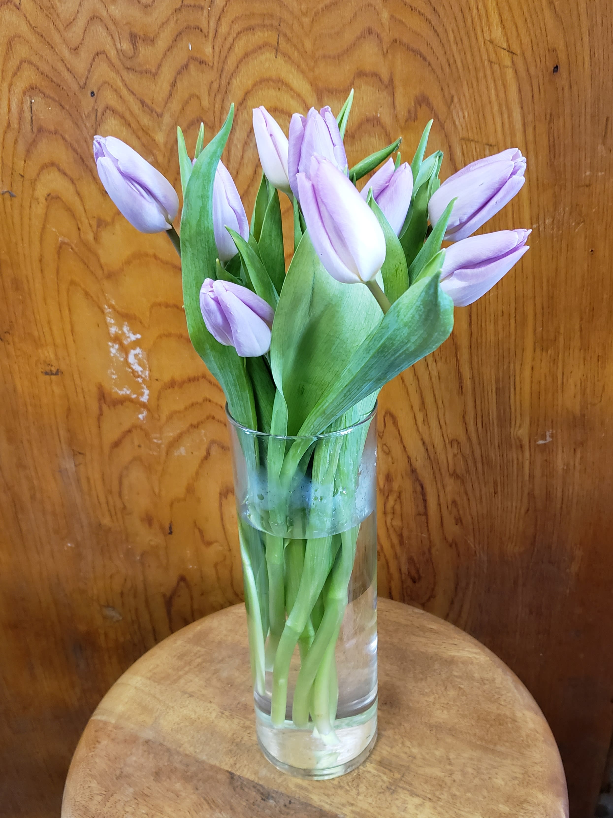 Just Tulips in Berkeley, CA | Lee's Florist & Nursery