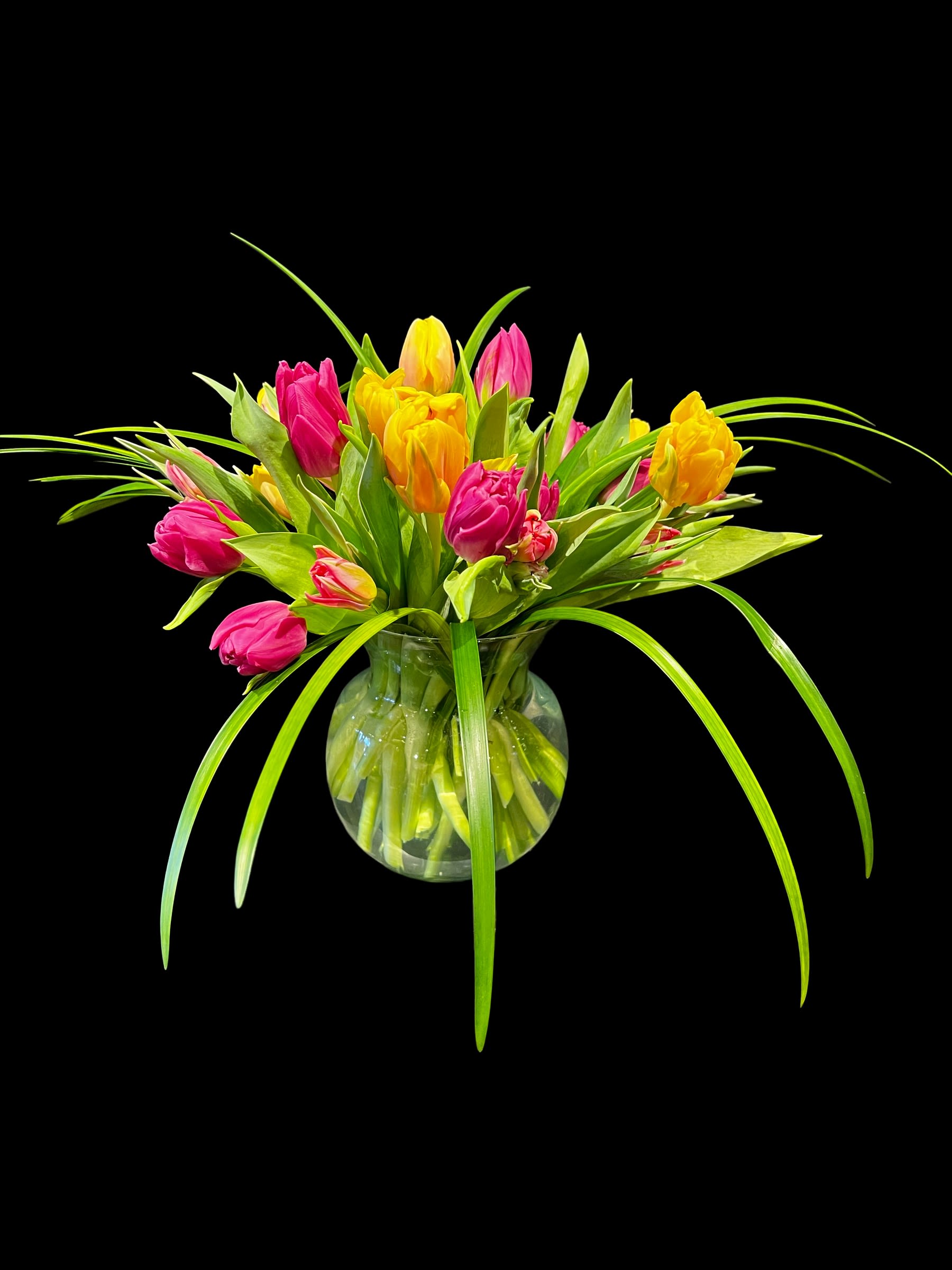 30 Multi colored tulips in a vase/colors and vases vary - The heralds of Spring! Tulips! 2.5 dozen!  Aprox 14x14&quot;