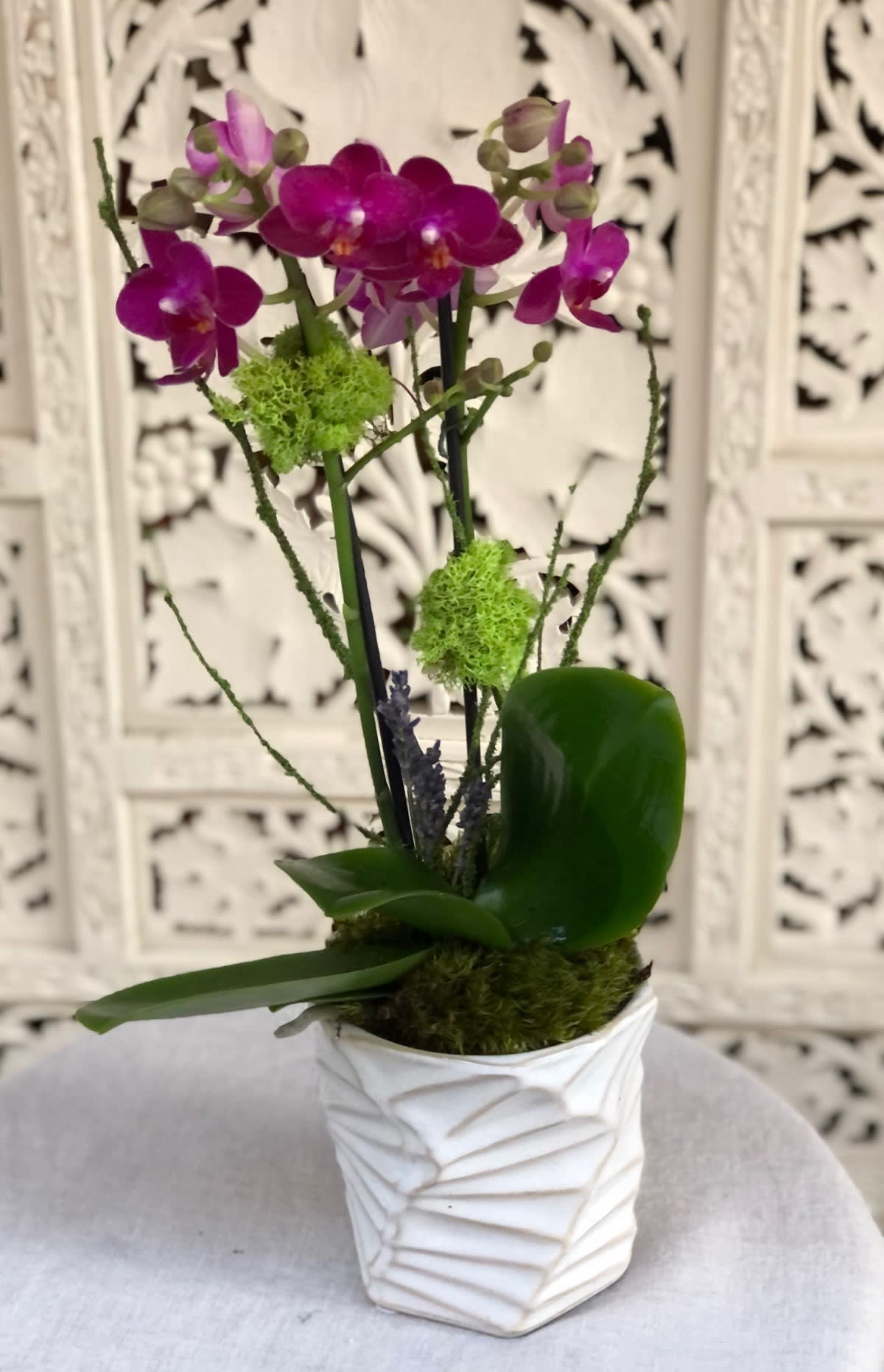 Pink Orchid - Sweet yet vibrant miniature, fuchsia phalaenopsis orchid plant presented in an organic, white, ceramic pot. Simply adorned with mossy branches and set in velvety, green mood moss. It's simplicity makes the perfect statement to show how much you care.