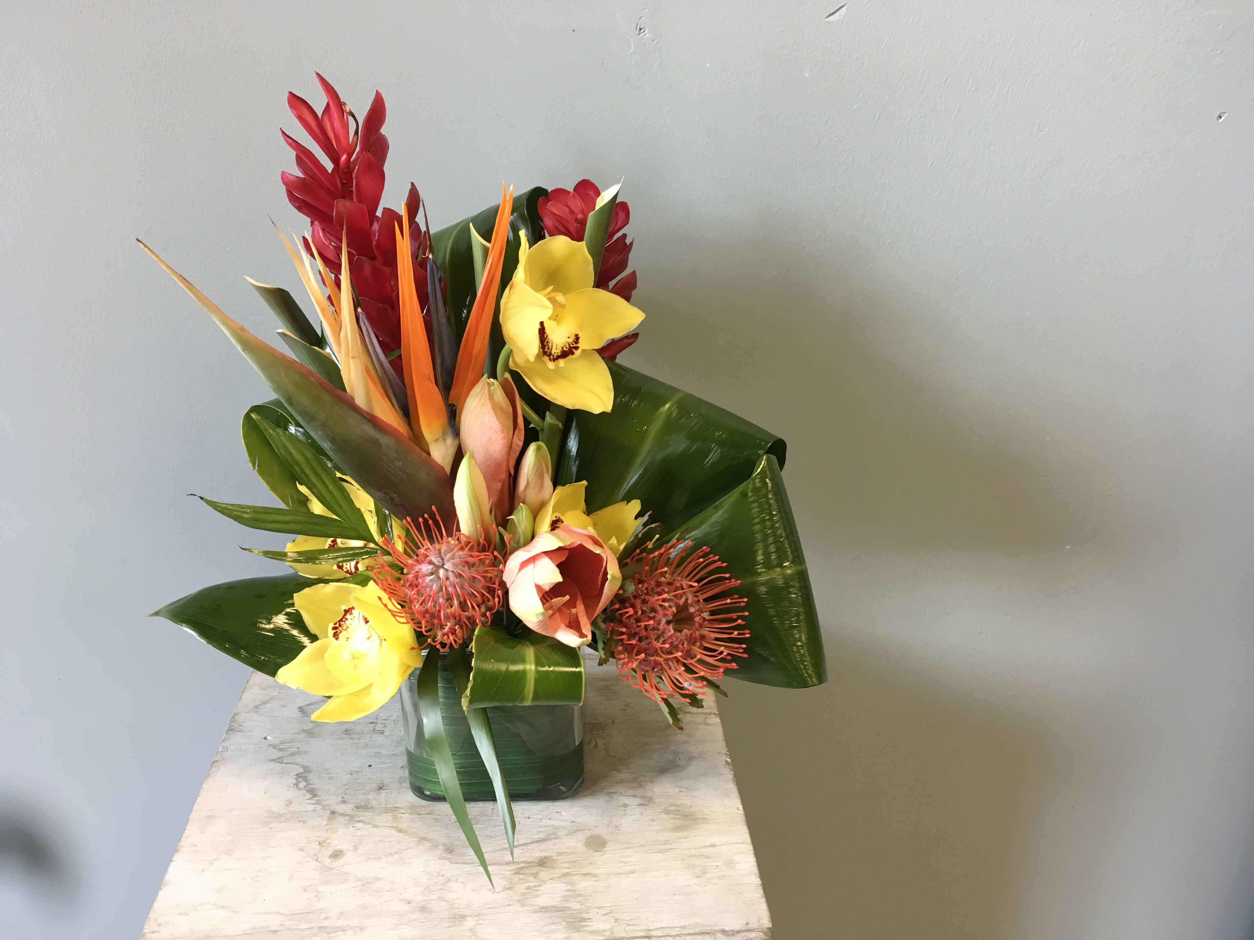 Tropical Paradise - Cymbidium Ginger Protea Ti Leaf and more