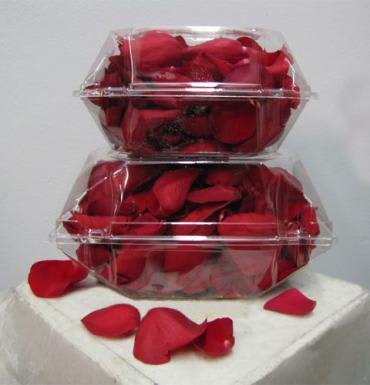 A rose petal florist sales