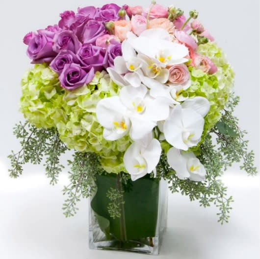 A Cascade of Luxury - David Z Designs - Cascading Orchids with other seasonal flowers has the dimensions of: a base of 4&quot;, a head of 14&quot;, and a height of 15&quot;. The arrangement includes a delicate mix of Roses, Hydrangeas and Orchids. Brought to you by My Beverly Hills Florist consider one of these delightful designs when looking for a thoughtful anniversary surprise.