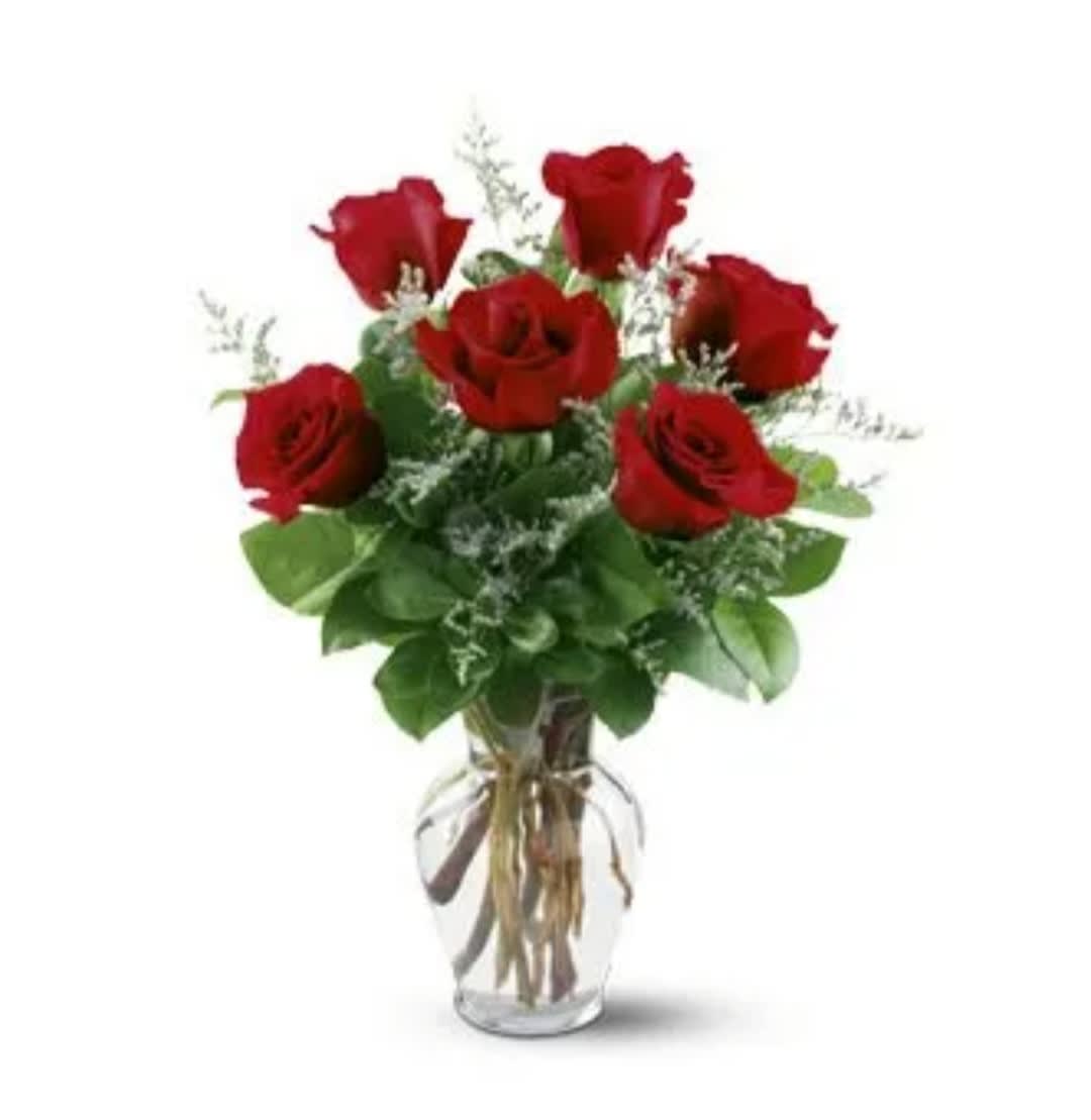 Half dozen roses  - Roses