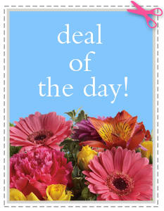 Deal of the Day - A fresh wonderful mix of daily fresh flowers