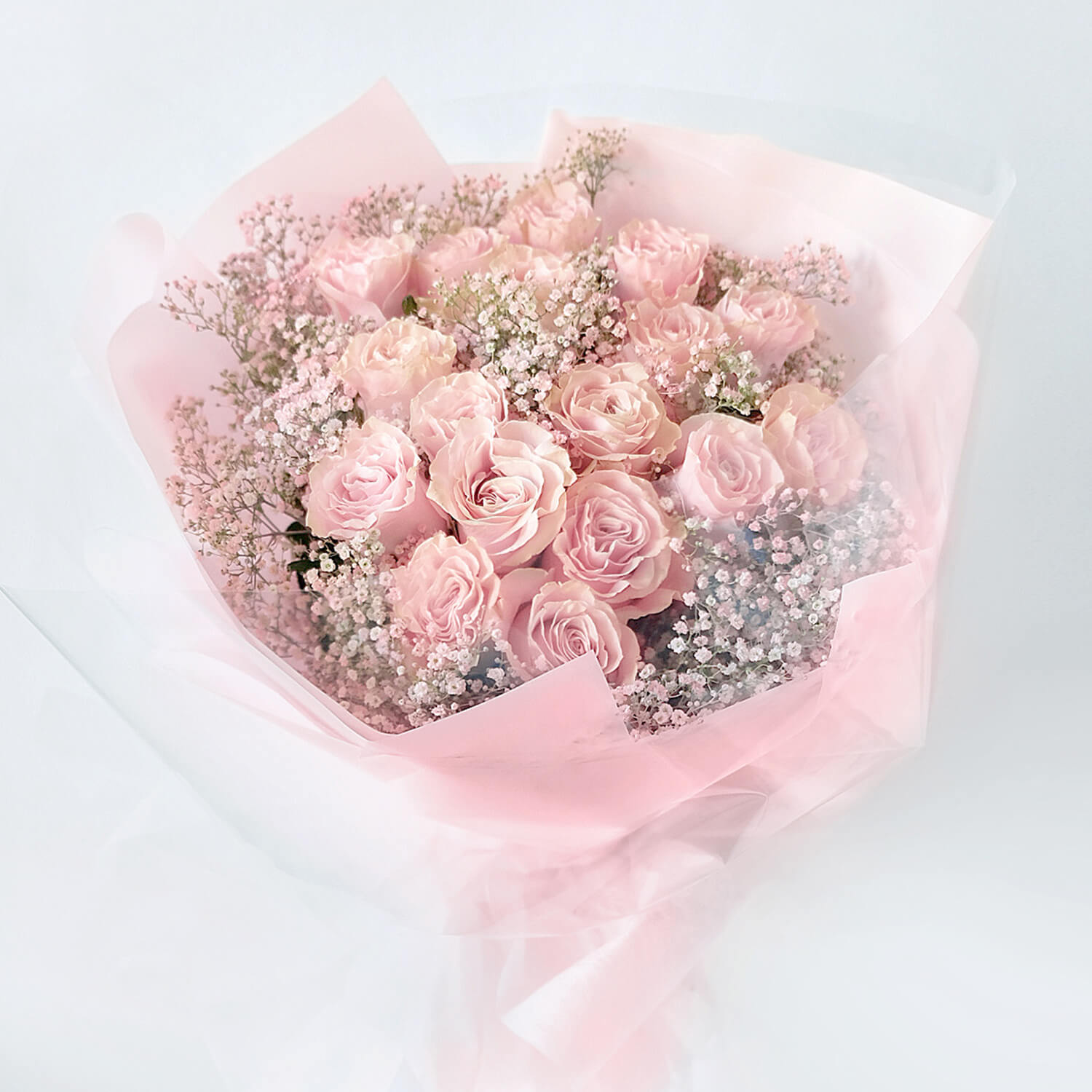 A dozen Light pink wrapped roses  - light pink roses with baby's breath .