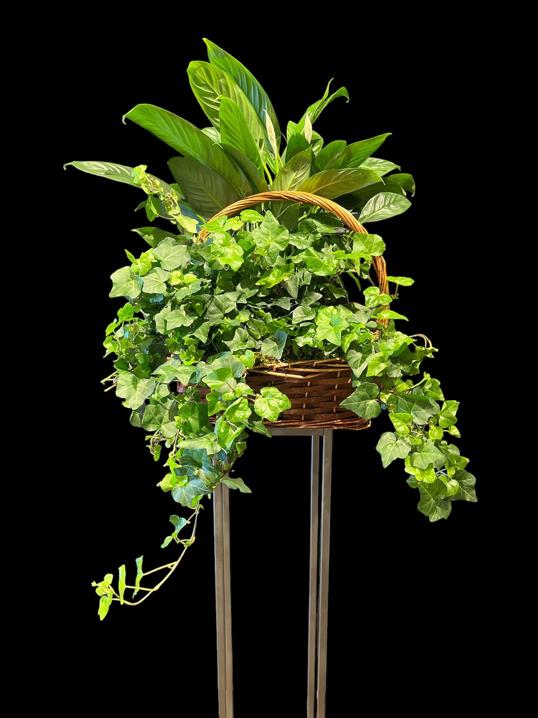 Garden Plant Basket (Standard Version) Plants/Containers Vary in Franklin, TN Garden Delights