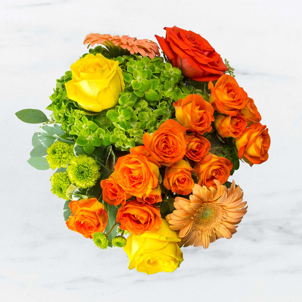 New Beginnings by BloomNation™ New Beginnings by BloomNation™ - Autumn reminds us that new seasons calls for new beginnings. The leaves know it, that’s why they switch up their colors. The bears know it, that’s why they stock up on food for a long winter of hibernation. And finally, the flowers know it, hence the creation of this arrangement. No matter what change you’re celebrating in someone's life, this arrangement is sure to propel them forward into the wonders of tomorrow.