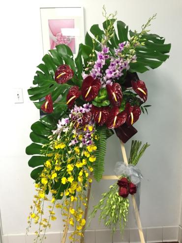 Tropical Flowers Spray Tropical Flowers Spray - Tropical Flowers Spray