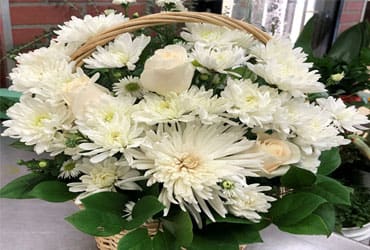 PUREST LOVE BASKET PUREST LOVE BASKET - "An elegant display of faith and divine peace, this beautiful arrangement will comfort the bereaved in a truly thoughtful and respectful way. An exquisite crystal cross is surrounded by a bed of lovely blossoms. It is sure to be appreciated and always remembered. • A fragrant mix of pure white blooms – including roses, alstroemeria, stock, carnations and Wax flower – is accented with variegated pittosporum around. • SET: One-Side"
