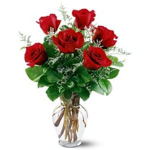 Half Dozen Red Roses - Here we have a elegant half dozen of red roses in a vase with greenery and babies breath. 