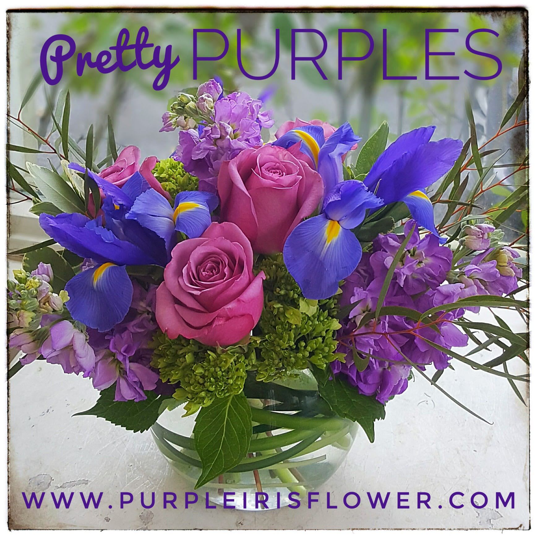 Pretty Purples in Point Pleasant, NJ Purple Iris Flower Shop