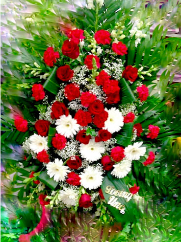 Magnificent Life Magnificent Life - Celebrate a wonderful life with a wonderful spray, this beautifully crafted piece includes deep red roses, carnations, white gerbera daisies, baby's breath, and surrounding greenery.