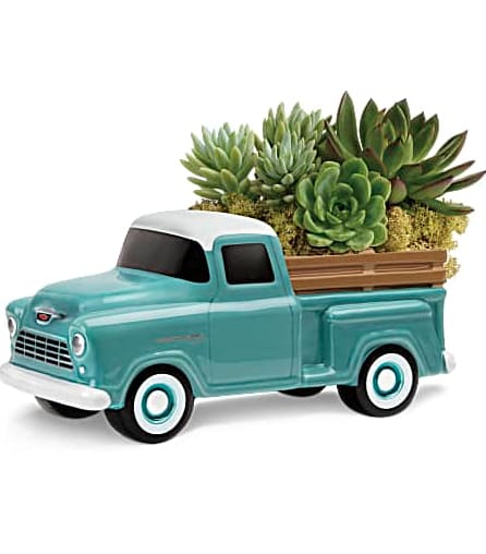 Perfect Chevy Pickup by Teleflora - Hand-painted and hand-glazed, this ceramic Chevy hauls a beautiful bounty of living green echeveria plants. The echeveria plants may vary in color and look due to availability.