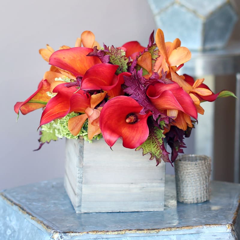 WOODSEY CHARM WOODSEY CHARM - CAN BE DONE IN AN ARRAY OF COLORS