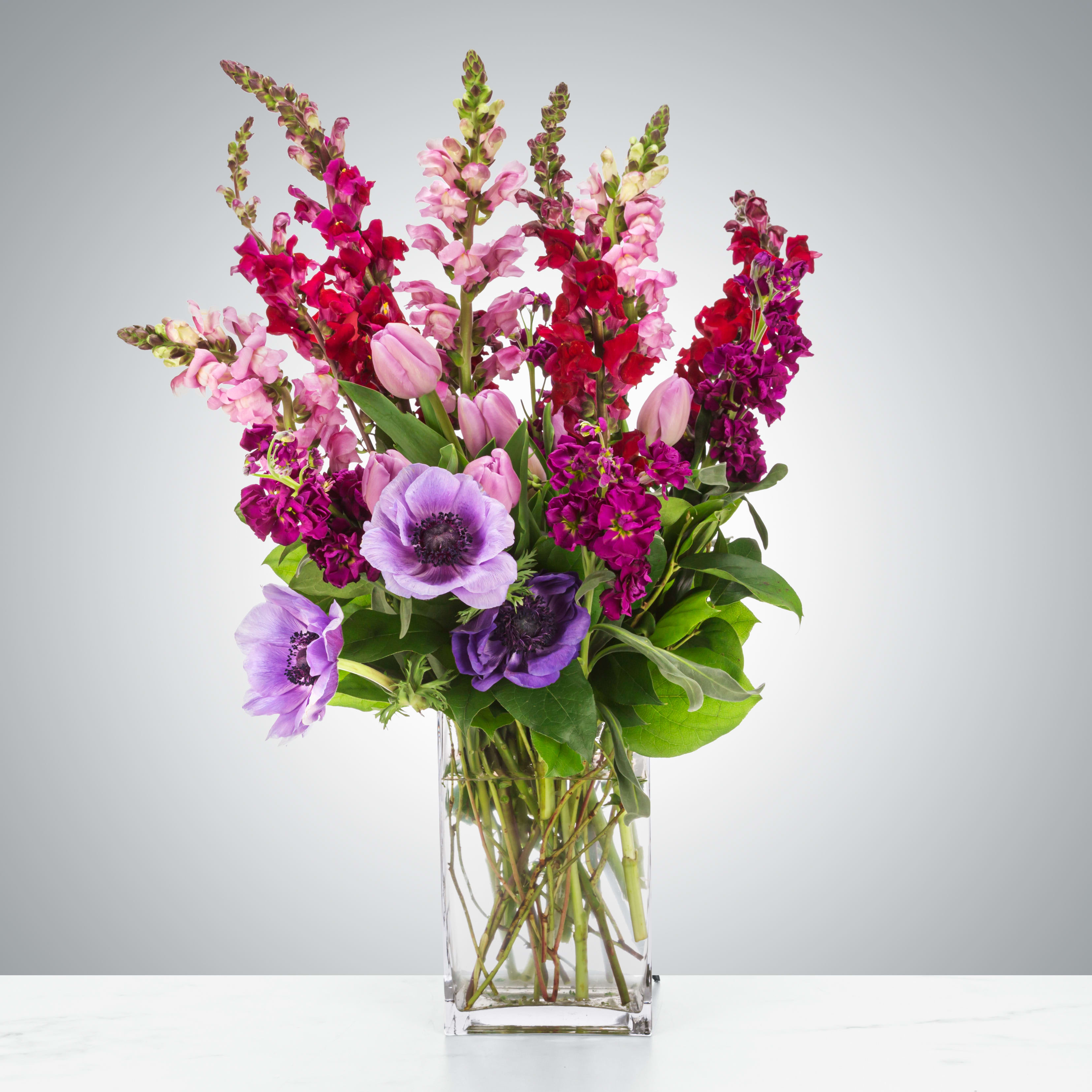 Amethyst Magic by BloomNation™ - Amethysts can come in a variety of beautiful purple colors just like this arrangement. Featuring Anemones, tulips, and snapdragons, this arrangement makes a beautiful February birthday present or a lovely congratulations gift.  Approximate Dimensions: 20&quot;D x 27&quot;H