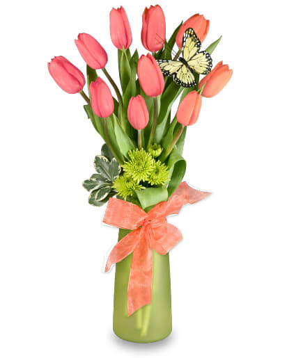 THOUGHTFUL TULIPS ARRANGEMENT  - Lime Green Frosted Bud Vase Foliage: Variegated Pittsporum, Pink Tulips, Green Novelty Button Poms, Butterfly, Sheer Pink Ribbon